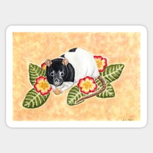 Rat with Primrose Flowers Sticker